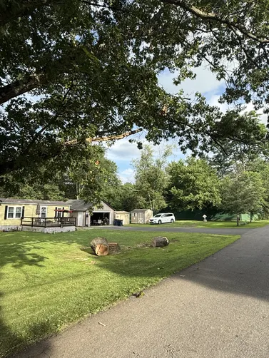 photo at Pine Plains, NY on Jul 07, 2025: We were called to remove a dead tree in the center of a customers front yard. Our team came in and 