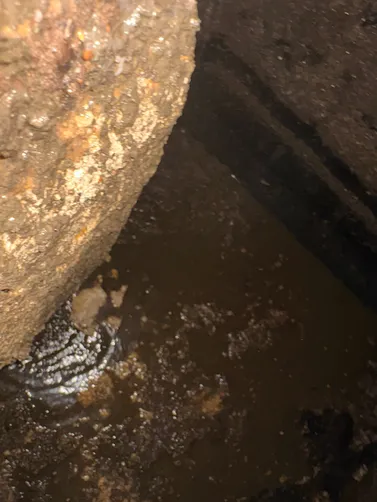 photo at Lafayette, TN on Jun 30, 2026: A septic tank pumping was completed in Lafayette. We efficiently pumped the septic tank and transpo photo at Lafayette, TN on Jun 30, 2026: A septic tank pumping was completed in Lafayette. We efficiently pumped the septic tank and transpo