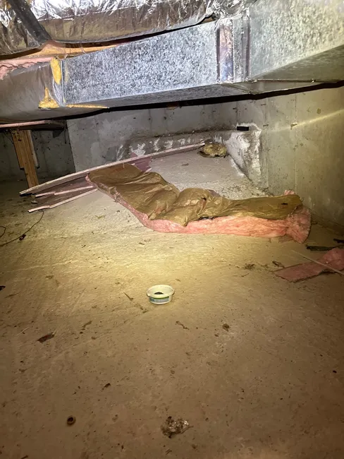 Suspect Microbial & Cleaning