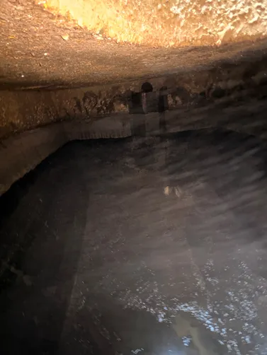 photo at Goodlettsville, TN on Jun 10, 2026: A septic inspection was conducted on the property in Goodlettsville. We thoroughly evaluated the ex photo at Goodlettsville, TN on Jun 10, 2026: A septic inspection was conducted on the property in Goodlettsville. We thoroughly evaluated the ex