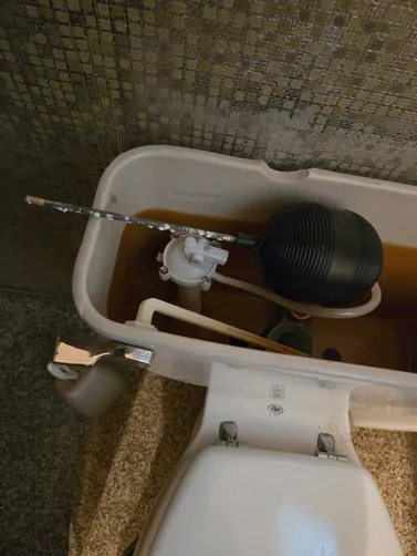 photo at Clayton, CA on May 06, 2026: The toilet was experiencing issues due to a malfunctioning fill valve and flapper, leading to impro