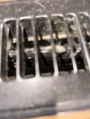 photo at Halstead, KS on Oct 02, 2026: Mold was detected in the air ducts, baseboards, and floor. To address this issue, we conducted a co photo at Halstead, KS on Oct 02, 2026: Mold was detected in the air ducts, baseboards, and floor. To address this issue, we conducted a co