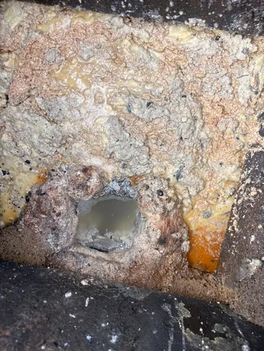 photo at Lafayette, TN on May 28, 2026: A grease trap service was performed at Backyard BBQ in Lafayette. We drained and pumped out the gre photo at Lafayette, TN on May 28, 2026: A grease trap service was performed at Backyard BBQ in Lafayette. We drained and pumped out the gre