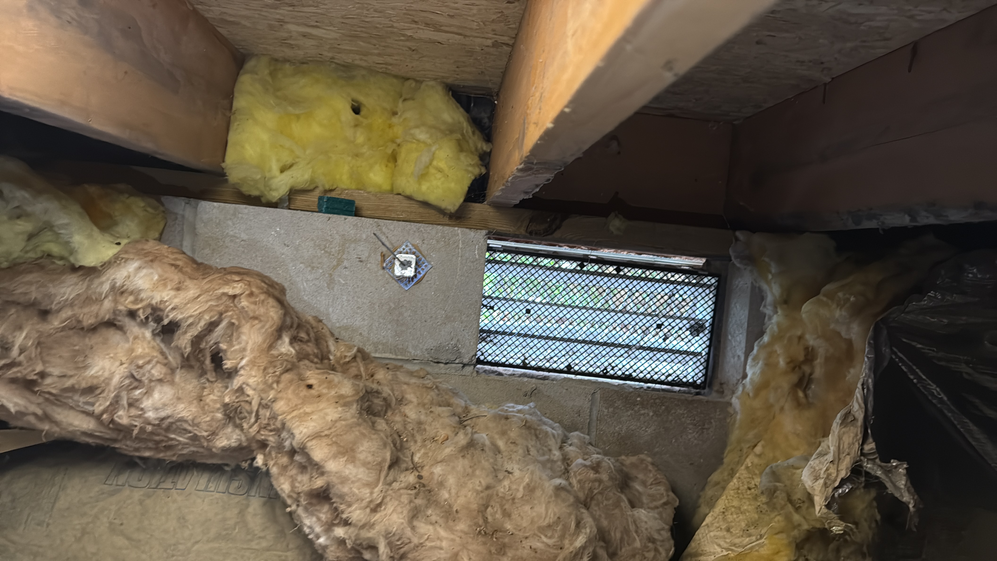 Crawl space at a Barnegat home with termite damage, June 2026