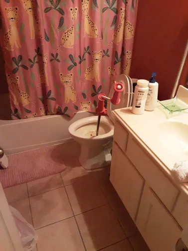 photo at Spring, TX on Dec 16, 2025: A persistent clog had rendered the toilet unusable, creating an urgent need for professional assist