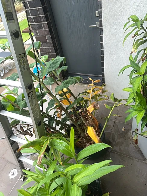 Patio Cleaning For Those Who Enjoy Relaxing In The Outdoors!