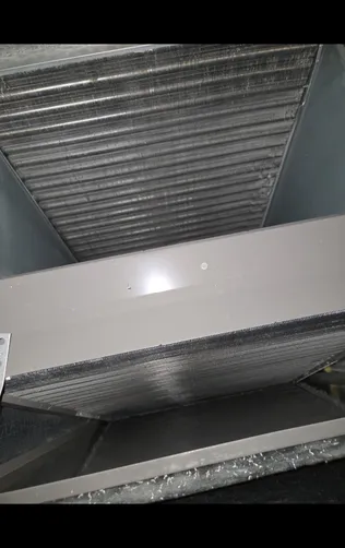 photo at Wichita, KS on Sep 02, 2026: A leak from the dishwasher in the kitchen island led to the discovery of mold on the subflooring. W photo at Wichita, KS on Sep 02, 2026: A leak from the dishwasher in the kitchen island led to the discovery of mold on the subflooring. W