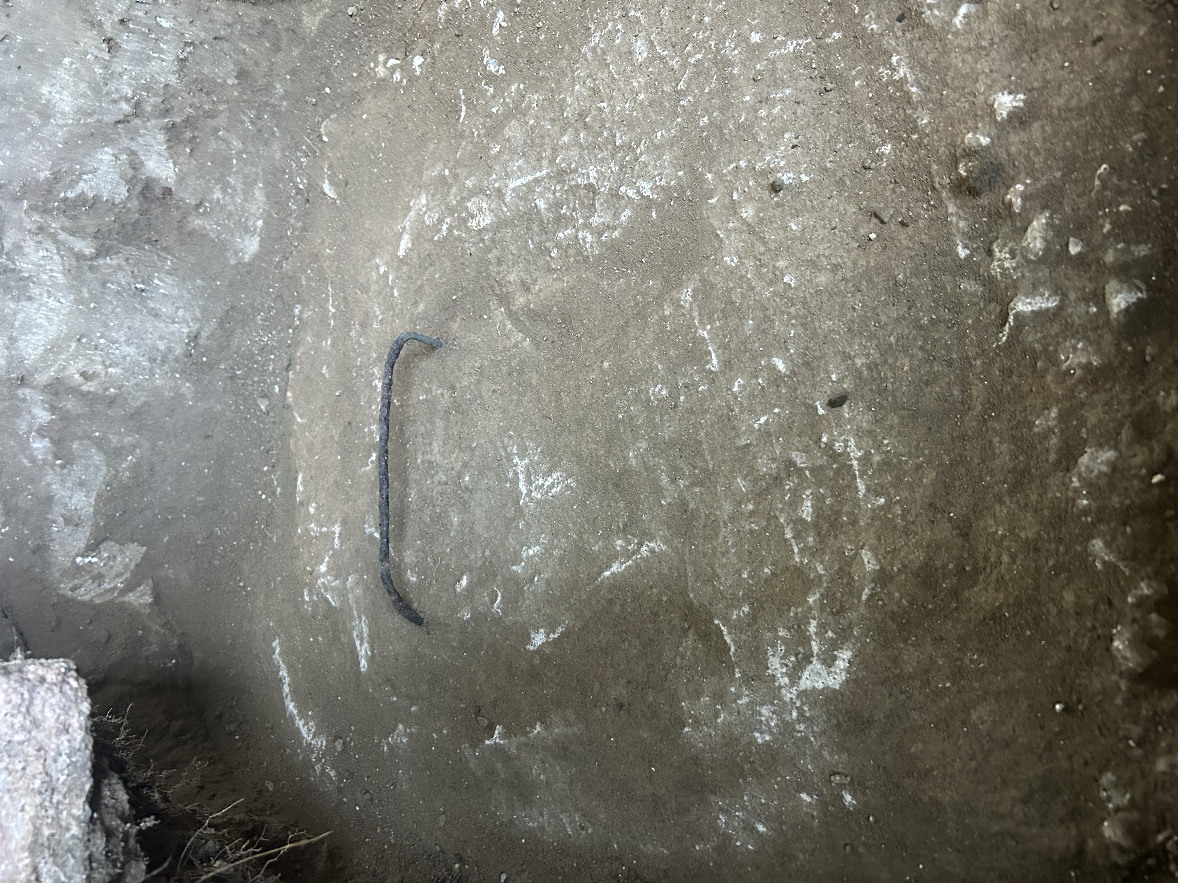 Septic tank lid area marked in the yard after a camera locate