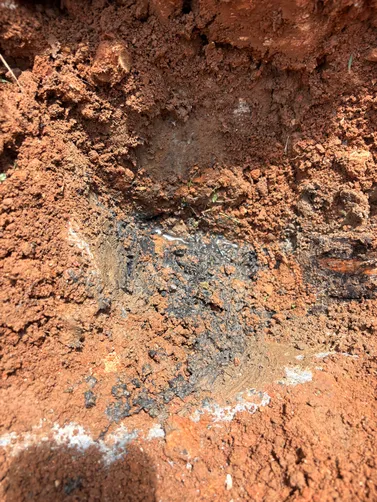 photo at Hartsville, TN on Jun 30, 2026: A septic system required attention to remove any obstacles and ensure proper functioning. We dug an photo at Hartsville, TN on Jun 30, 2026: A septic system required attention to remove any obstacles and ensure proper functioning. We dug an
