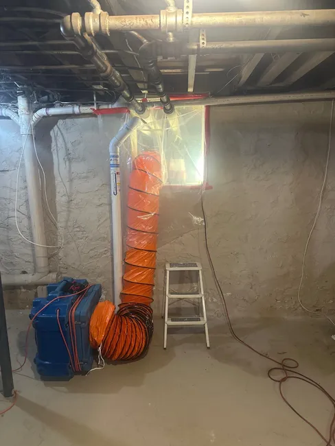 Microbial Cleaning For A Sale