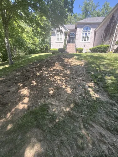 photo at Cottontown, TN on May 18, 2026: An exploratory dig was conducted in Cottontown to assess the septic system. We pumped enough from t photo at Cottontown, TN on May 18, 2026: An exploratory dig was conducted in Cottontown to assess the septic system. We pumped enough from t