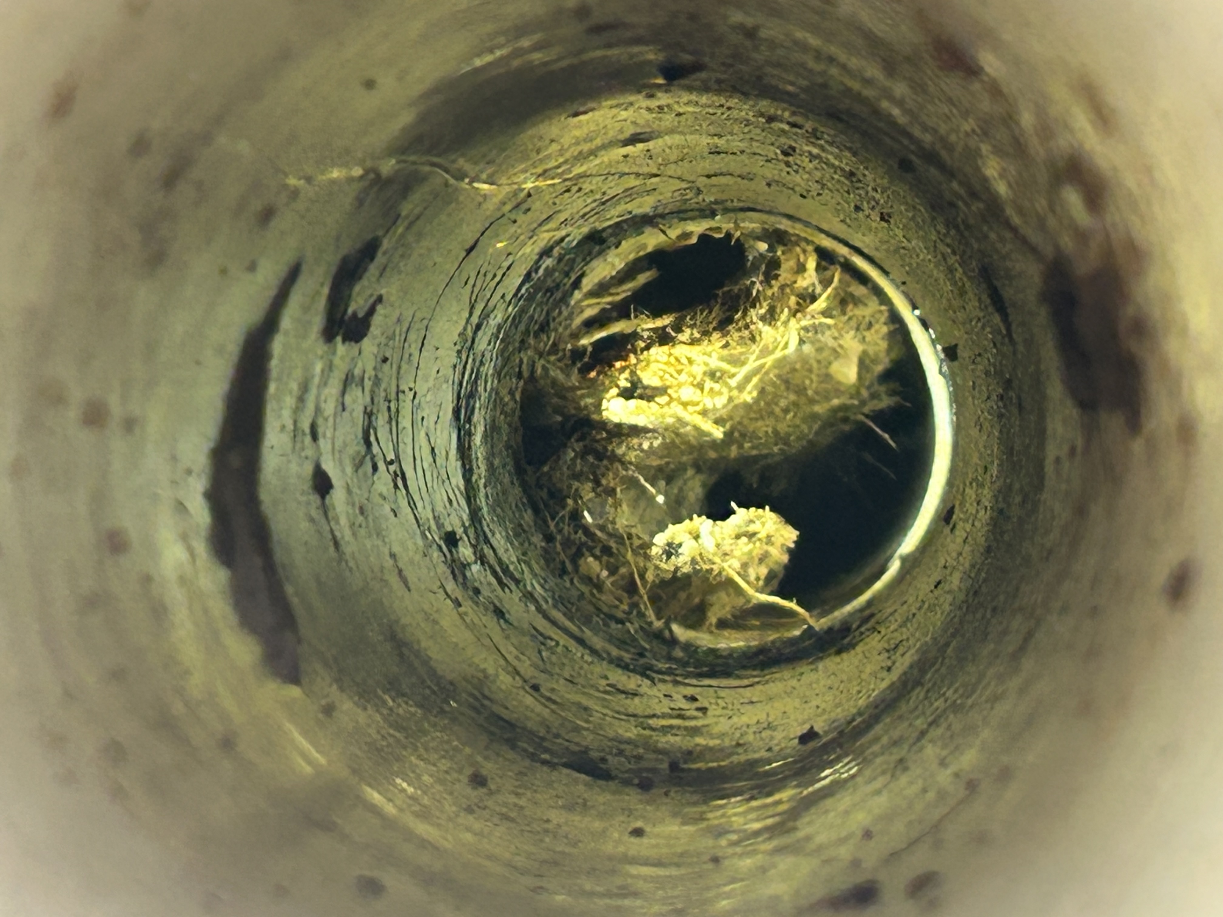 Close-up of debris buildup inside a sewer pipe