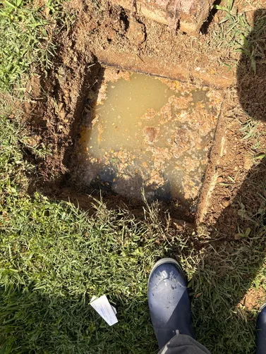 photo at Westmoreland, TN on Jun 19, 2026: A septic system in Westmoreland required pumping to maintain proper functionality. We performed the photo at Westmoreland, TN on Jun 19, 2026: A septic system in Westmoreland required pumping to maintain proper functionality. We performed the