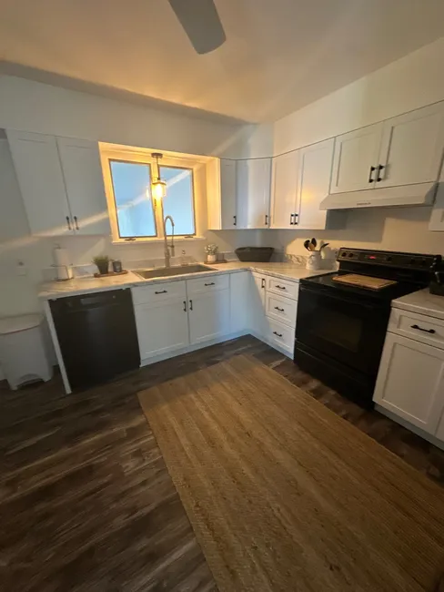 Dishwasher Leak To Kitchen Remodel