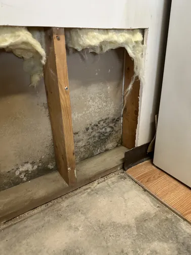 photo at Wichita, KS on Sep 14, 2026: A mold remediation project was undertaken to address a mold issue at a property in Wichita. We meti photo at Wichita, KS on Sep 14, 2026: A mold remediation project was undertaken to address a mold issue at a property in Wichita. We meti