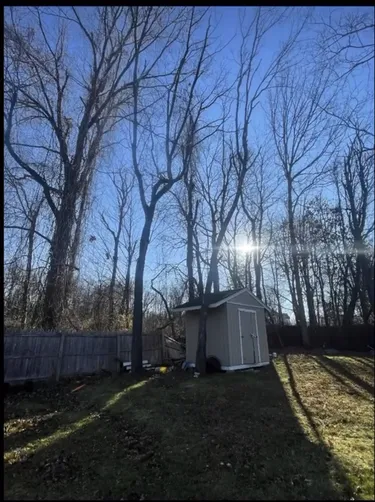 photo at Poughkeepsie, NY on Nov 21, 2022: To enhance the safety and aesthetic appeal of the property, we conducted thorough tree pruning and 