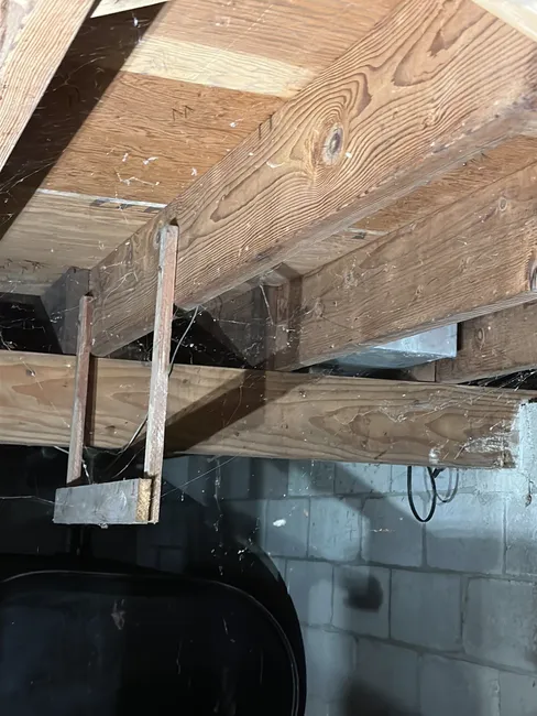 Crawlspace Cleaning & Dehumidifier