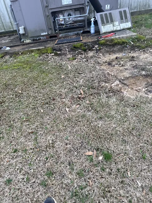 Job in Mount Olive
