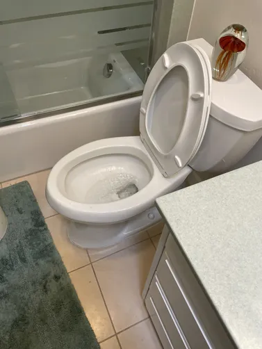 photo at Walnut Creek, CA on Mar 26, 2026: After encountering a blocked toilet, we took action by utilizing an auger to effectively clear the 