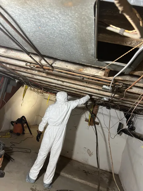 Mold growth was safely removed from a Bryn Mawr home, ensuring a healthier living environment for the family.
