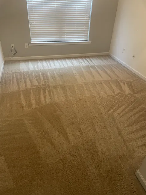 Union City,GA Carpet Cleaning