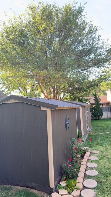 Job in Lubbock