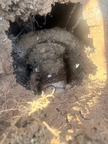 photo at Bethpage, TN on Jul 02, 2026: A septic tank needed servicing to ensure it was operating correctly. We pumped the septic tank and photo at Bethpage, TN on Jul 02, 2026: A septic tank needed servicing to ensure it was operating correctly. We pumped the septic tank and
