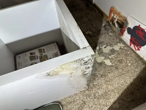 photo at Derby, KS on Aug 13, 2026: Mold discovered in a basement prompted immediate action. We used thermal imaging equipment to ident photo at Derby, KS on Aug 13, 2026: Mold discovered in a basement prompted immediate action. We used thermal imaging equipment to ident