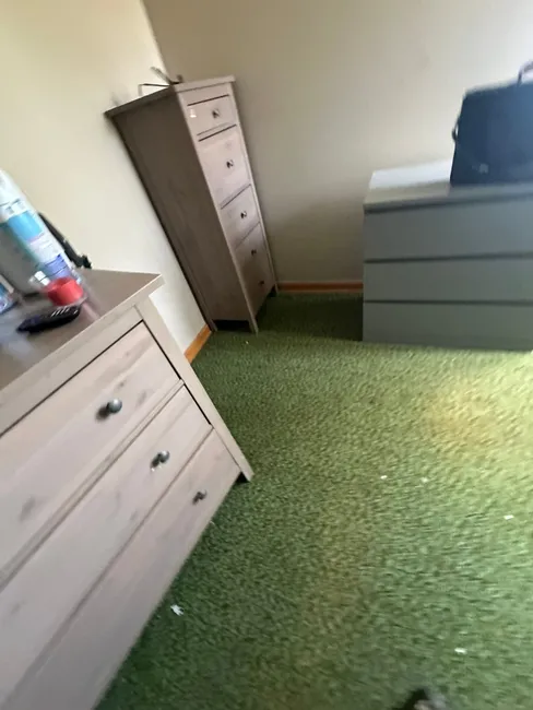 Carpet Removal & Cleaning
