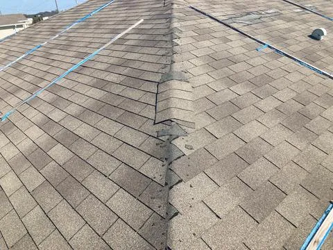 Shingle Roof Replacement