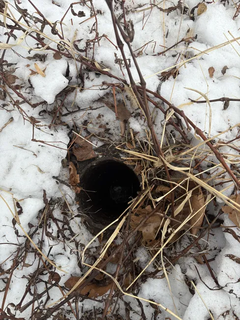 A blockage in the main line was cleared by snaking 35 feet to the septic tank, restoring flow and functionality.
