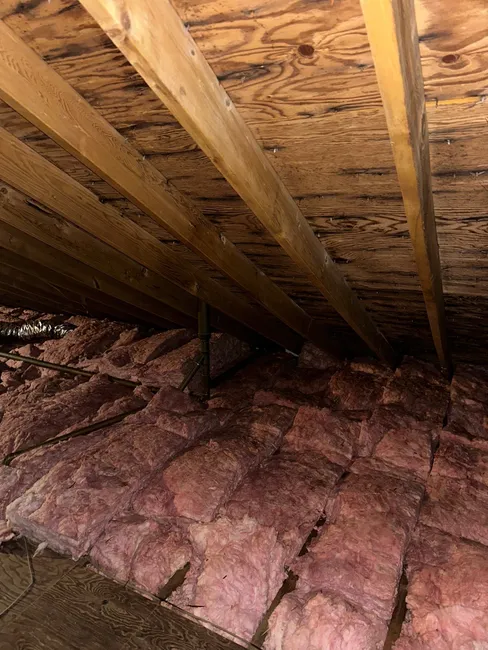 A Cleaning Of An Attic Was Required Due To Suspect Microbial