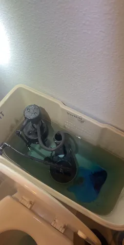 photo at Houston, TX on Oct 31, 2025: The toilet in the second-floor guest bathroom was continuously running water, which indicated a fau