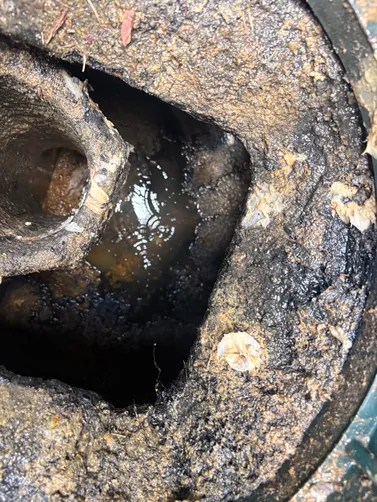 photo at Gallatin, TN on Jun 16, 2026: A septic tank needed to be pumped to maintain proper system function. We pumped the tank thoroughly photo at Gallatin, TN on Jun 16, 2026: A septic tank needed to be pumped to maintain proper system function. We pumped the tank thoroughly