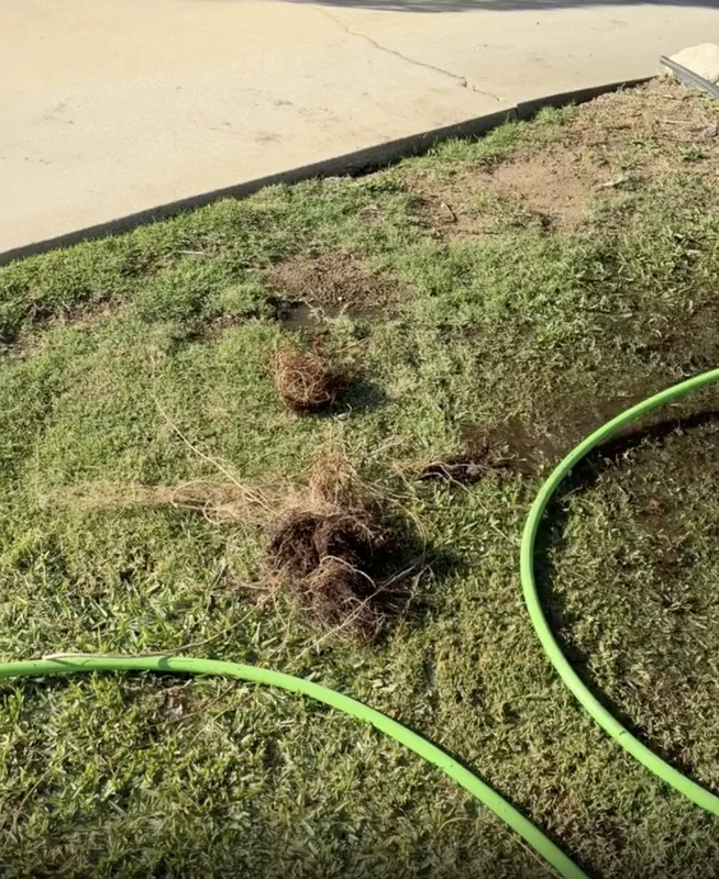 Patio Drain Clearing in Glendora — Glendora, CA