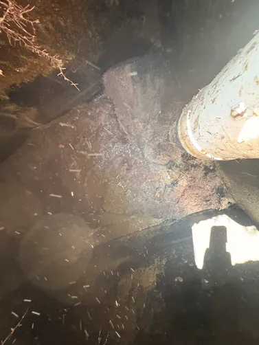 photo at Greenbrier, TN on Jul 30, 2026: A thorough septic inspection was conducted at the property in Greenbrier. One tank was pumped and t photo at Greenbrier, TN on Jul 30, 2026: A thorough septic inspection was conducted at the property in Greenbrier. One tank was pumped and t