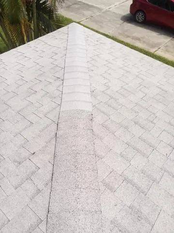 Shingle Repair