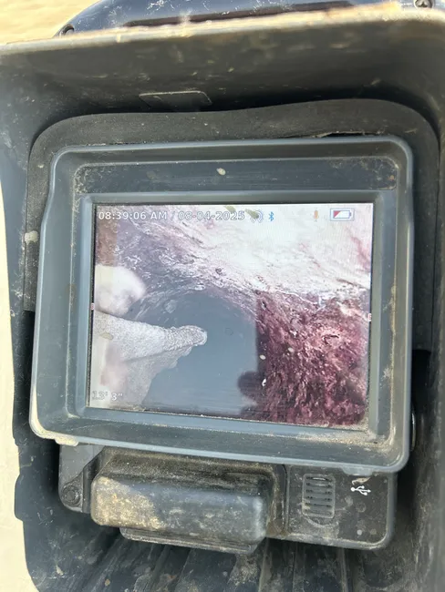 Job in El Cajon
