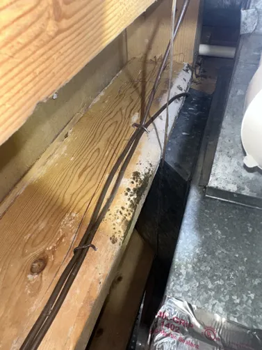 photo at Halstead, KS on Oct 02, 2026: Mold was detected in the air ducts, baseboards, and floor. To address this issue, we conducted a co photo at Halstead, KS on Oct 02, 2026: Mold was detected in the air ducts, baseboards, and floor. To address this issue, we conducted a co