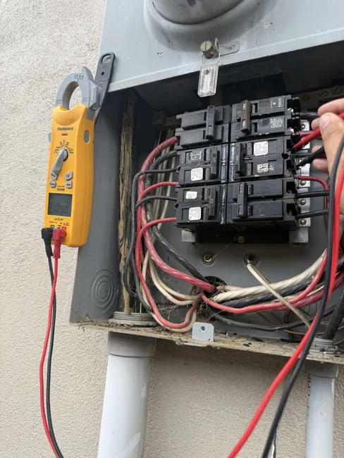 Job in Mount Olive