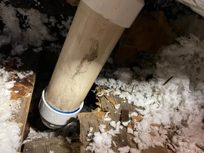 Toilet Drain Repair
