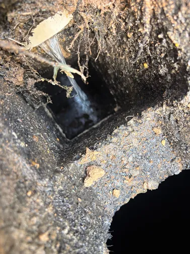photo at Carthage, TN on Jun 29, 2026: A septic tank needed to be pumped to ensure it was functioning properly. We dug to locate the tank photo at Carthage, TN on Jun 29, 2026: A septic tank needed to be pumped to ensure it was functioning properly. We dug to locate the tank