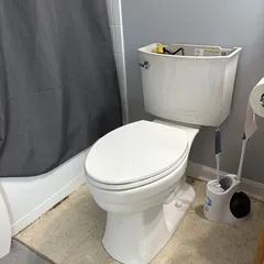 Kohler Toilet Repair