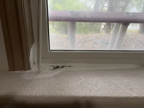 photo at Wichita, KS on Sep 25, 2026: A mold evaluation was conducted due to the discovery of mold inside one of the basement windows in photo at Wichita, KS on Sep 25, 2026: A mold evaluation was conducted due to the discovery of mold inside one of the basement windows in
