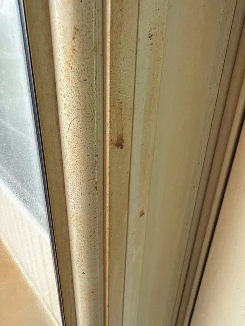 In Springfield, PA, we effectively removed persistent nicotine odors, restoring freshness to this home.