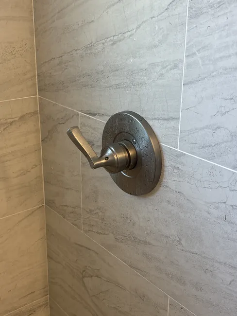 Shower Valve Repair