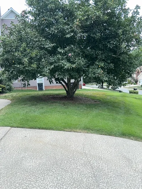 Job in Greensboro